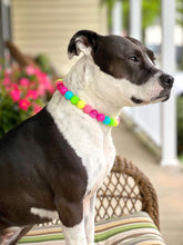 Load image into Gallery viewer, Neon Rainbow š Bead Collar