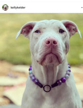 Load image into Gallery viewer, Mystery Glam 'Almost Perfect' Bead Collar - FINAL SALE