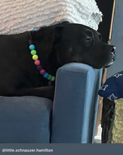 Load image into Gallery viewer, Neon Rainbow š Bead Collar