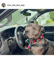 Load image into Gallery viewer, Red & Black Skull Bead Collar