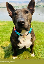 Load image into Gallery viewer, Rainbow Surf Acrylic Bead Collar