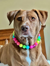 Load image into Gallery viewer, Neon Rainbow š Bead Collar