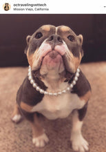 Load image into Gallery viewer, š§ 19" Slip On (Black O-Ring) Mini White Pearl Bead Collar - PRE-MADE/FINAL SALE