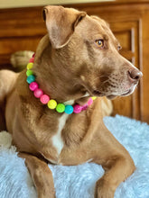 Load image into Gallery viewer, Neon Rainbow š Bead Collar