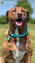 Load image into Gallery viewer, Oasis Swirl Acrylic Bead Collar