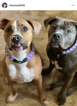 Load image into Gallery viewer, Purple Rain Triplo Acrylic Bead Collar