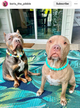 Load image into Gallery viewer, Neon Turquoise Acrylic Bead Collar