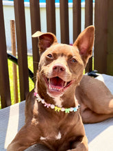 Load image into Gallery viewer, š Pastel Bow š Bead Collar