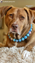 Load image into Gallery viewer, Blue Opalite Resin Bead Collar