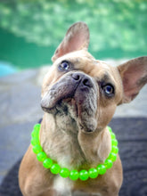Load image into Gallery viewer, Slime Green Acrylic Acrylic Bead Collar
