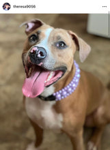 Load image into Gallery viewer, Purple Rain Triplo Acrylic Bead Collar