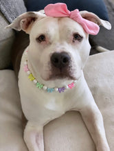 Load image into Gallery viewer, š Pastel Bow š Bead Collar