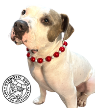 Load image into Gallery viewer, Jumbo Santa Baby Bead Collar