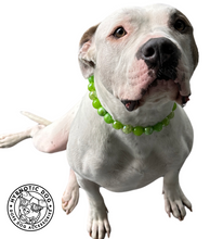 Load image into Gallery viewer, Lime Twist Bead Collar