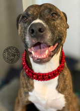 Load image into Gallery viewer, Lunar Red Triplo Acrylic Bead Collar