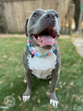 Load image into Gallery viewer, Miami Star ⭐️ Bead Collar