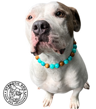 Load image into Gallery viewer, Malibu Waves Acrylic Bead Collar