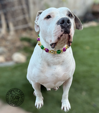 Load image into Gallery viewer, Mardi Gras ✨ Bead Collar