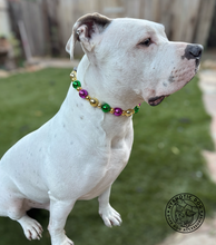 Load image into Gallery viewer, Mardi Gras ✨ Bead Collar