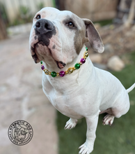 Load image into Gallery viewer, Mardi Gras ✨ Bead Collar