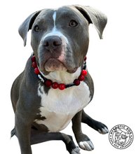 Load image into Gallery viewer, Michael šŖ Halloween Bead Collar
