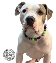 Load image into Gallery viewer, Midnight Cauldron Halloween Glow Bead Collar