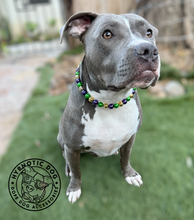 Load image into Gallery viewer, MINI Mardi Gras Bead Collar