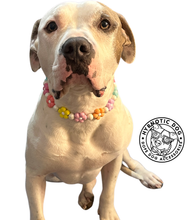 Load image into Gallery viewer, š¼ Multicolor Daisies š¼ Silicone Bead Collar