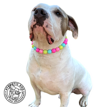 Load image into Gallery viewer, Neon Candyland Bead Collar