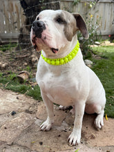 Load image into Gallery viewer, Neon Highlighter Yellow Triplo Acrylic Bead Collar