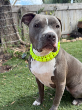 Load image into Gallery viewer, Neon Highlighter Yellow Triplo Acrylic Bead Collar