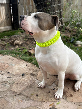 Load image into Gallery viewer, Neon Highlighter Yellow Triplo Acrylic Bead Collar