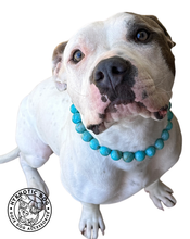 Load image into Gallery viewer, Oasis Swirl Acrylic Bead Collar