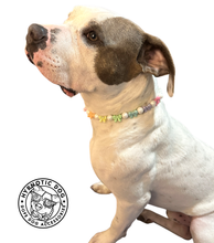 Load image into Gallery viewer, š Pastel Bow š Bead Collar