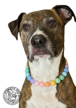 Load image into Gallery viewer, š§ 17" Slip On (Black O-Ring) Pastel Rainbow Acrylic Bead Collar - PRE-MADE/FINAL SALE