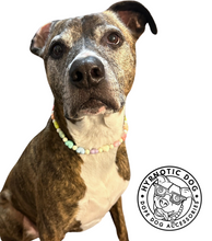 Load image into Gallery viewer, Pastel Rainbow Hearts Bead Collar