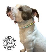 Load image into Gallery viewer, Pastel Rainbow Hearts Bead Collar