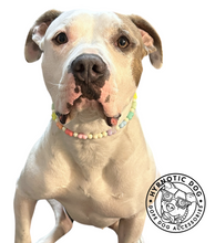 Load image into Gallery viewer, Pastel Rainbow Hearts Bead Collar
