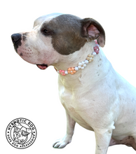 Load image into Gallery viewer, š¼ Vintage Daisies š¼ Silicone Bead Collar