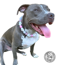 Load image into Gallery viewer, Pink Frosty ⛄️ Bead Collar
