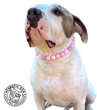 Load image into Gallery viewer, Pink Rodeo Bead Collar