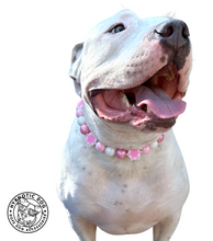 Load image into Gallery viewer, Pink Snowflake ❄️ Bead Collar
