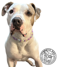 Load image into Gallery viewer, Purple Multicolor Glow Hearts Bead Collar