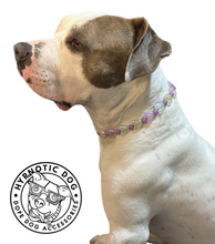 Load image into Gallery viewer, Purple Multicolor Glow Hearts Bead Collar
