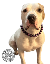 Load image into Gallery viewer, Purple Northern Lights Resin Bead Collar