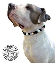 Load image into Gallery viewer, Pennywise Bead Collar