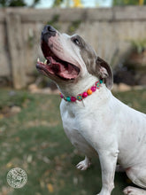 Load image into Gallery viewer, Retro Groovy š¼ Bead Collar