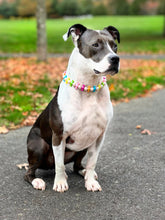 Load image into Gallery viewer, 🍬 Tutti Frutti Candy Bead Collar - SALE