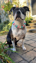 Load image into Gallery viewer, Chunky Ice Princess Acrylic Bead Collar