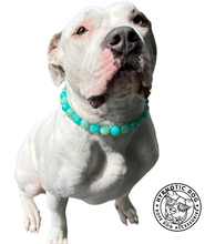 Load image into Gallery viewer, Sea Glass Acrylic Bead Collar
